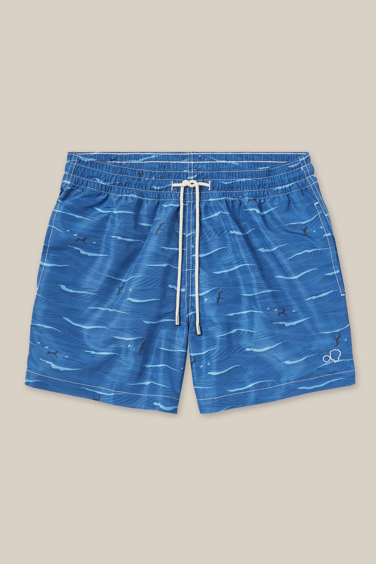 Swim Shorts Blue Flying Fish