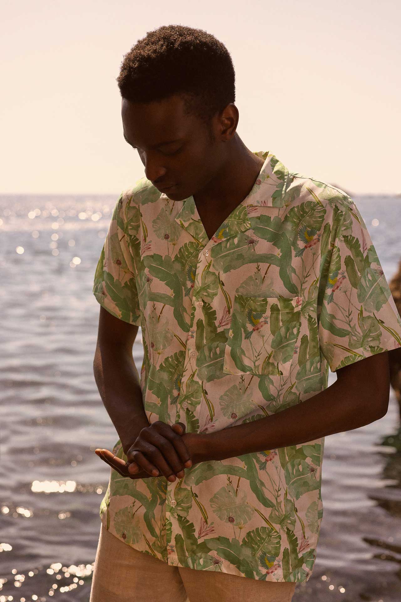 Camisa Hummingbirds Verde